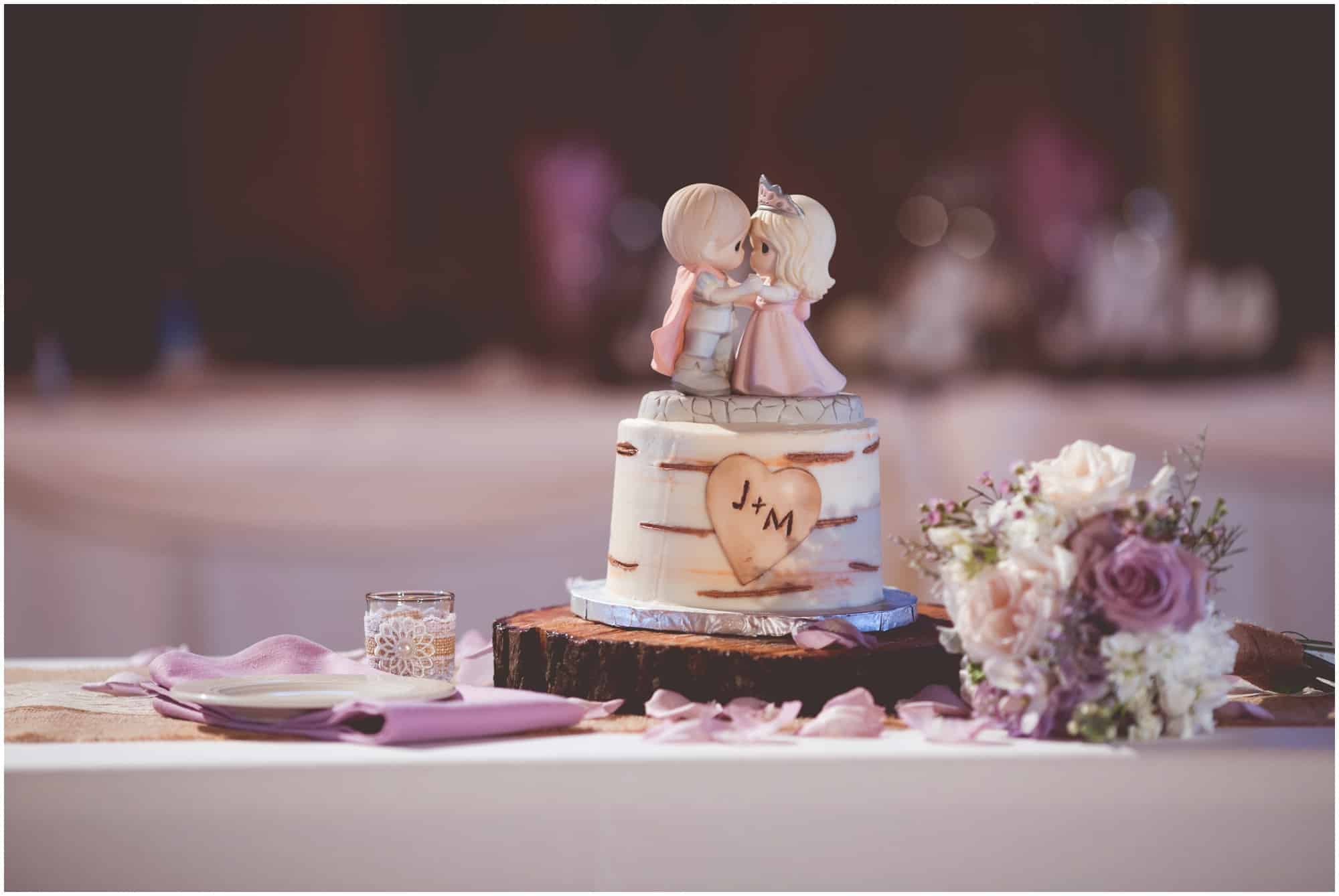 County Line Orchard Wedding Photographer special bride and groom cake with a precious moments disney cake topper